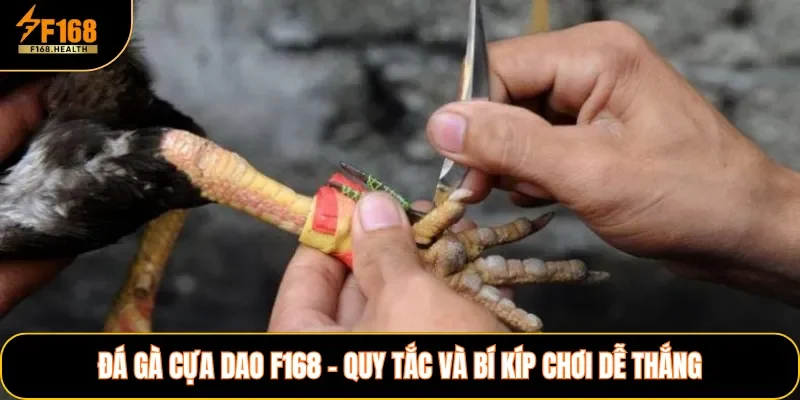 Đá Gà Cựa Dao