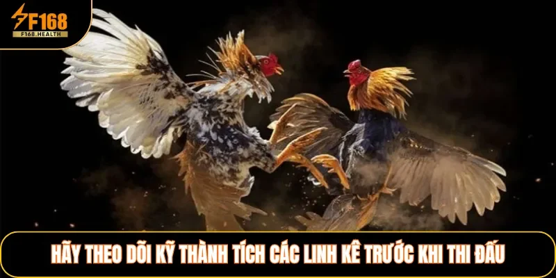 Hãy theo dõi kỹ thành tích các linh kê trước khi thi đấu