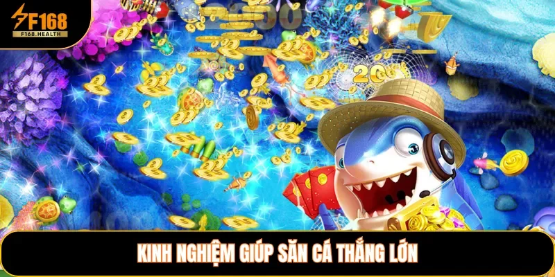 Kinh nghiệm giúp săn cá thắng lớn