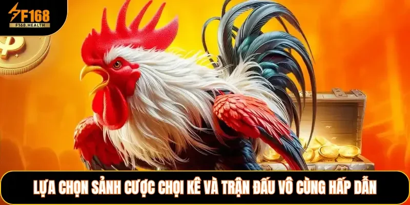 Lựa chọn sảnh cược chọi kê và trận đấu vô cùng hấp dẫn