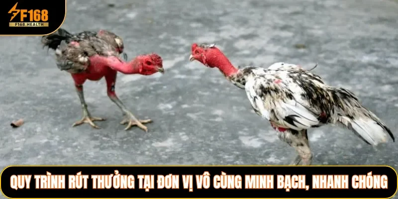 Quy trình rút thưởng tại đơn vị vô cùng minh bạch, nhanh chóng